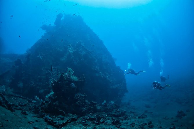 5 Fun Dives in Tulamben (For Certified Divers) - Discover Famous Diving Sites - Suitability and Accessibility Considerations