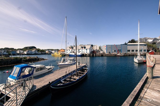 5 Highlights Of Lofoten From Svolvær - Scenic Lunch Location