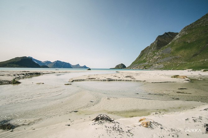 5 Highlights Of Lofoten From Svolvær - Customer Testimonials