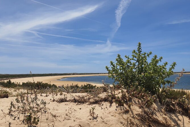 5 Hour Boat Tour in Ria Formosa - Meeting Point