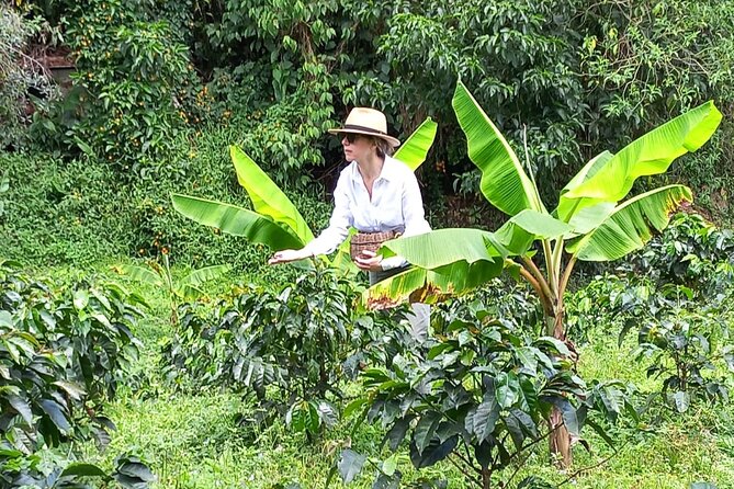 5-Hour Coffee and Pablo Express Mix Tour in Medellín - Key Points