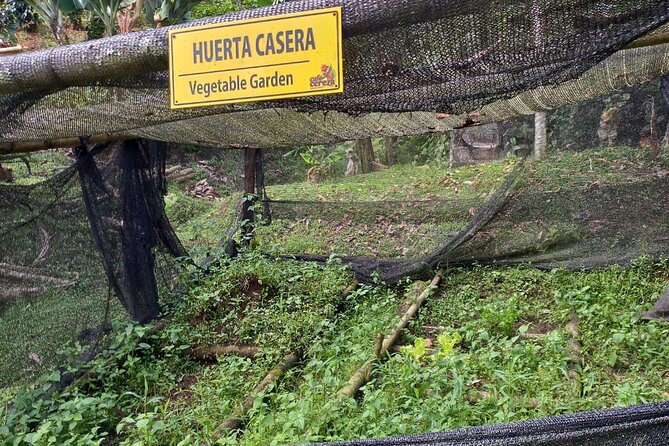 5-Hour Coffee and Pablo Express Mix Tour in Medellín - Tour Itinerary: Medellín