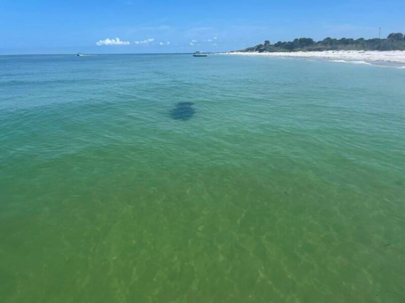 5-Hour Egmont Key Tour in St. Pete - Booking Information