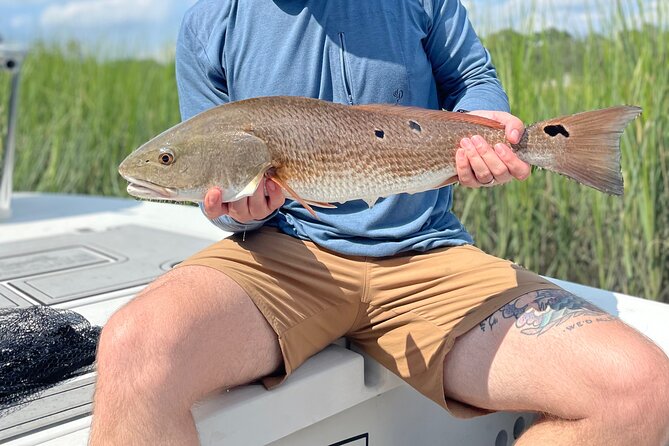 5 Hour Fishing Charter in Charleston - Key Points