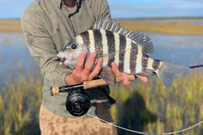 5 Hour Fishing Charter in Charleston - Scheduling and Availability