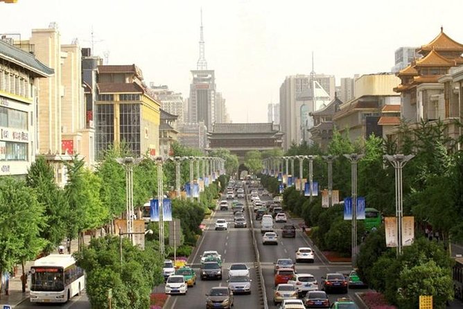 5-Hour Flexible Private Xi'an City Tour - Inclusions