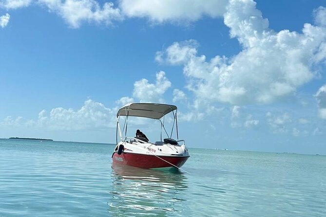 5-Hour Guided Jetboat Tour to Secret Beach, San Pedro, Belize. - Meeting Information