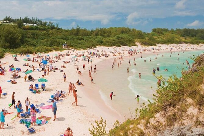 5 Hour Guided Private Tour of Bermuda - Operating Hours