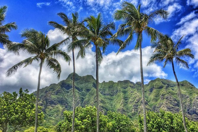 5 Hour Half Day Island Jeep Tour - Fitness Level