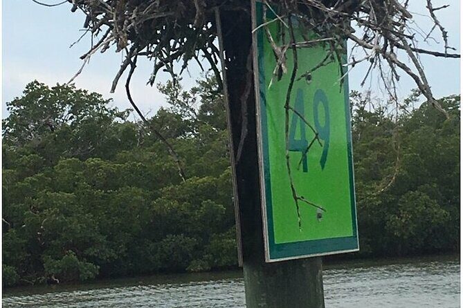5 Hour Keewaydin Island Beach Tour - Final Thoughts