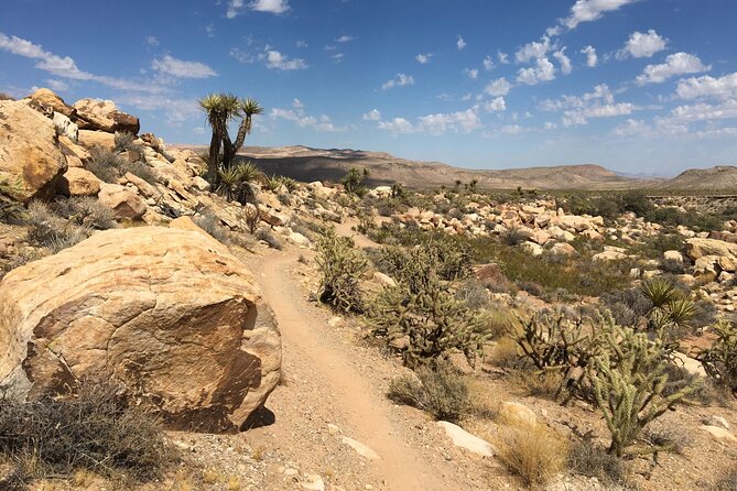 5 Hour Las Vegas Off-Road Secrets: Self Drive Jeep Adventure - Panoramic Desert Views