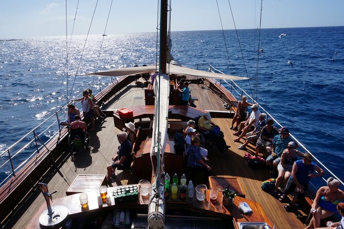 5-hour Masca-Los Gigantes Whale Watching Tour - Wildlife Observation