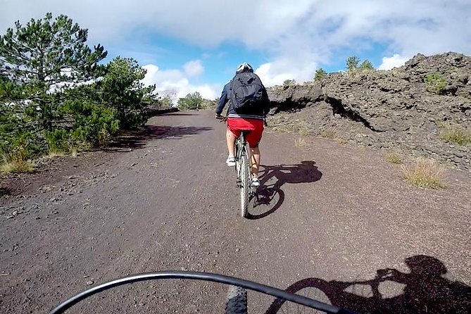 5-Hour Mount Etna Mountain Biking Tour - Guided Tour Itinerary and Highlights