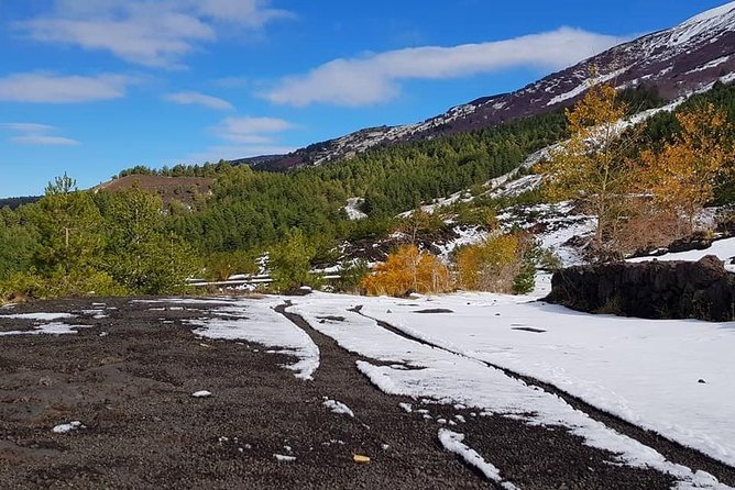 5-Hour Mount Etna Mountain Biking Tour - Booking and Confirmation Process