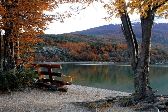 5-Hour Nat Park + City Tour - USHUAIA (Private Tour) - Itinerary Highlights