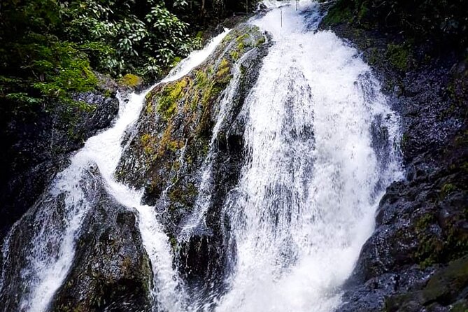 5 Hour Off-Road ATV+ Zipline+ Waterfall Rappelling+ Tractor Jungle Tour - Tips and Recommendations