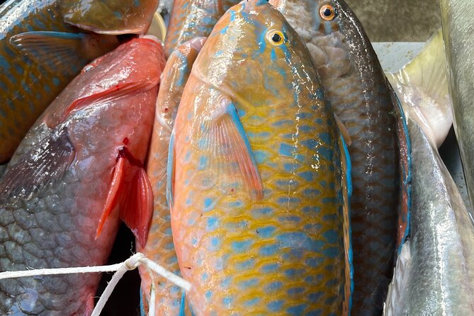 5 Hour Private Customize Tour of Mahe, Seychelles - Exploring Victorias Highlights