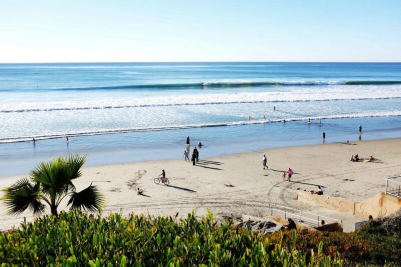 5-Hour Private Exploration of the Treasures of San Diego - Itinerary