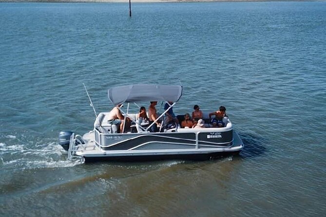 5-Hour Private Hilton Head Pontoon Boat Rental - Potential Wildlife Sightings