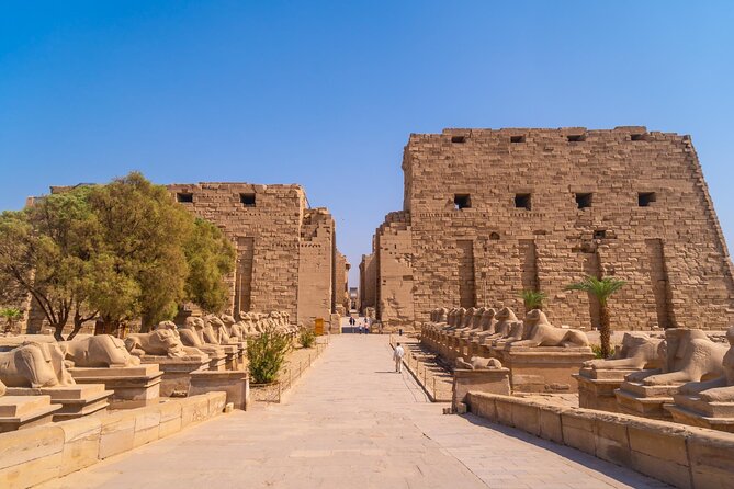 5-Hour Private Luxor East Bank Tour - Tour Reviews and Ratings
