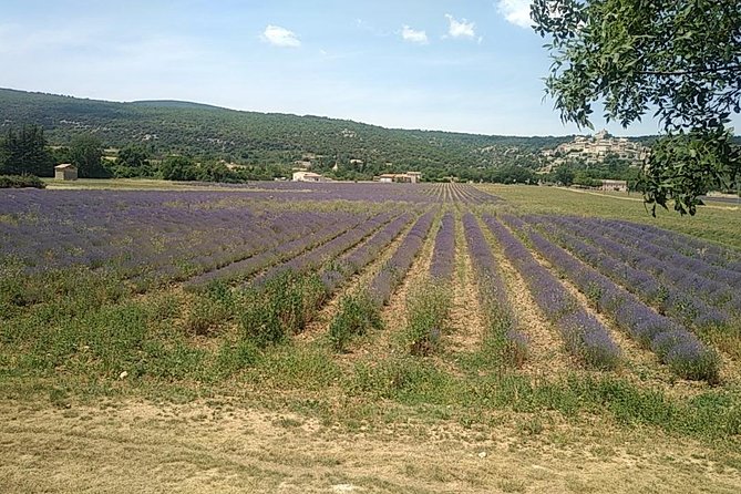 5-Hour Private Sightseeing Tour of the Provence From Marseille in Luxury Car - Visiting Aix-en-Provence