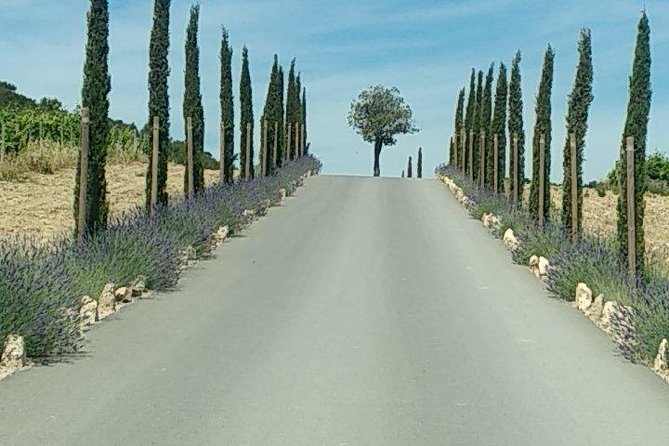 5-Hour Private Sightseeing Tour of the Provence From Marseille in Luxury Car - Insider Tips From the Guide