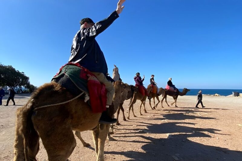 5 Hour Private Tangier Tour - Tour Experience and Customer Feedback