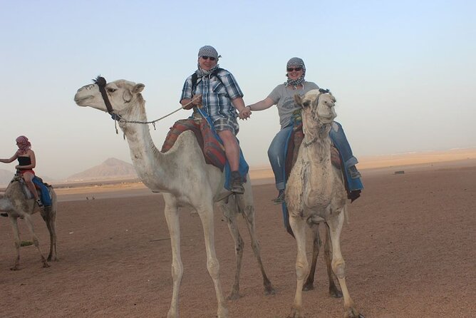 5-Hour Safari With Quad Biking & Dinner at the Bedouin Hurghada - Booking Details