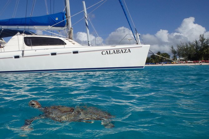 5-Hour Small-Group Catamaran Cruise From Bridgetown With Lunch - Onboard Meals and Beverages