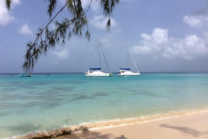 5-Hour Small-Group Catamaran Cruise From Bridgetown With Lunch - Positive Customer Feedback