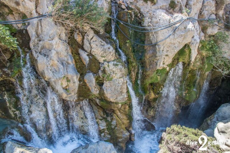 5 Hour Snorkel Trip to the Waterfalls - Activity Highlights