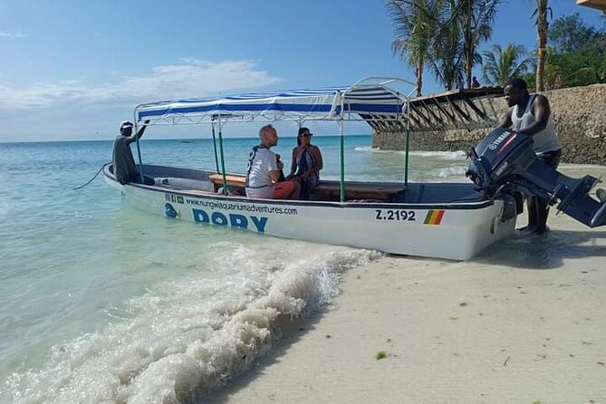5-Hour Snorkeling, Swimming With Dolphins and Sea Turtles Aquarium - Picnic at the Sandbank