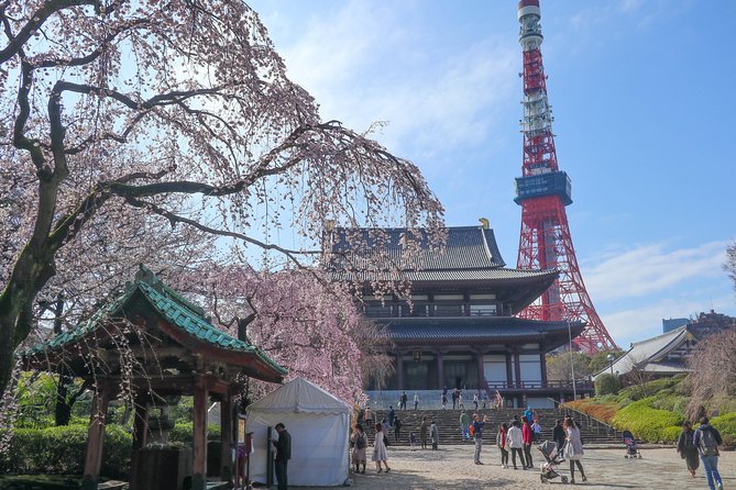 5-Hour Tokyo & Edo Hidden Gem Bike Tour With Lunch - Rental Bikes and Gear