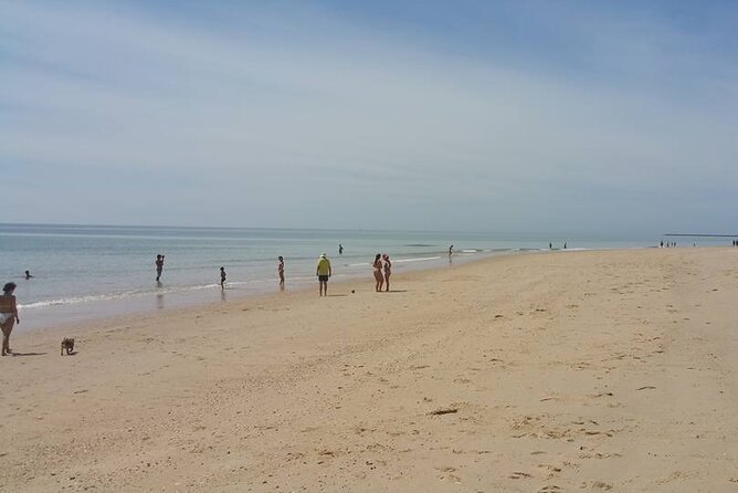 5-Hour Tour With 3 Stops Around the Islands and Beaches of Ria Formosa - Wheelchair and Stroller Accessibility