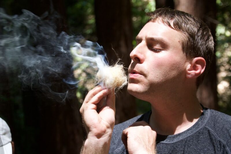 5-Hour Wilderness Skills & Survival Clinic - Instructors and Experience