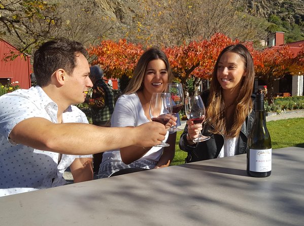 5-Hour Wine and Food Sampler Tour From Queenstown - Scenic Wine Tastings