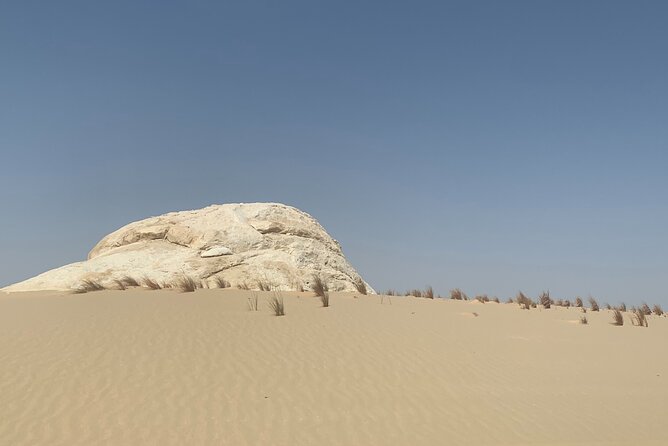 5 Hours Desert Quad Bike Safari & Camel Ride + Dinner + Folklore - Meeting and Pickup