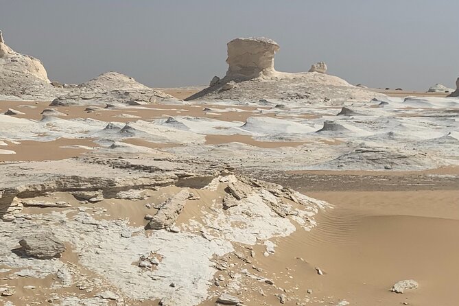 5 Hours Desert Quad Bike Safari & Camel Ride + Dinner + Folklore - Pricing and Cancellation Policy