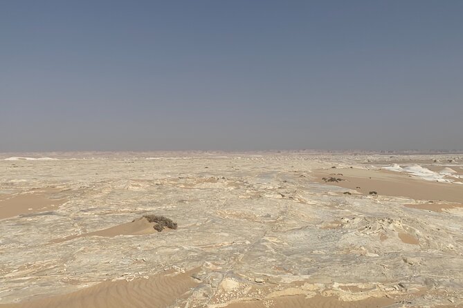 5 Hours Desert Quad Bike Safari & Camel Ride + Dinner + Folklore - Desert Quad Bike Safari