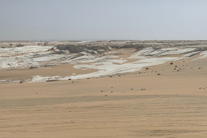 5 Hours Desert Quad Bike Safari & Camel Ride + Dinner + Folklore - Camel Ride and Folklore Experience