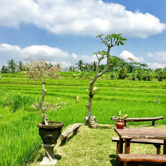 5-Hours Farmstay Experience - Hands-on Farm Activities