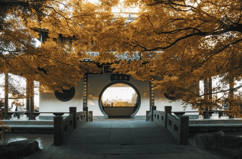 5 Hours Hangzhou Tour Itinerary - Private Trip Inclusions