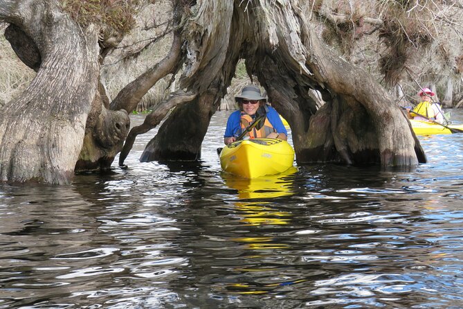 5 Hours Lake Norris Kayak Activity With Lunch - Included Gear and Amenities