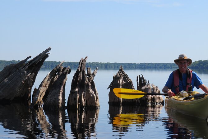5 Hours Lake Norris Kayak Activity With Lunch - Professional Kayak Guide