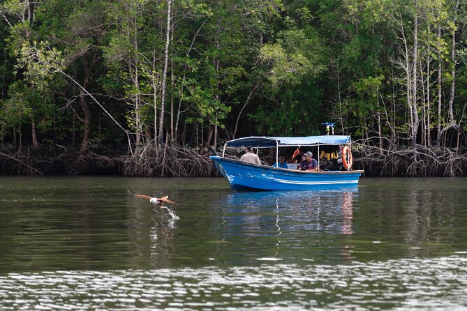 5 Hours Mangrove Boat Tour in Langkawi - Pickup Information