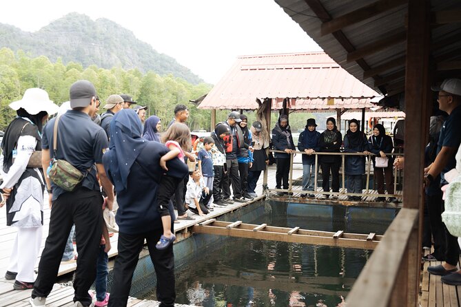 5 Hours Mangrove Boat Tour in Langkawi - Booking Confirmation