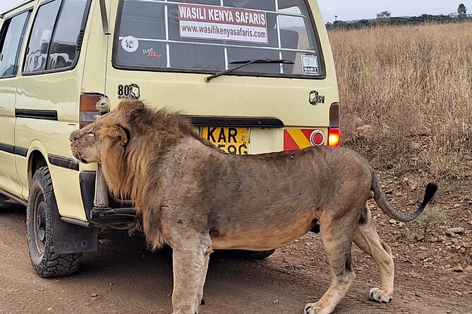 5 Hours Nairobi National Park Private Tour - Meeting and Pickup Details