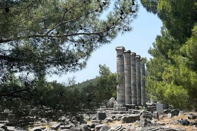 5 Hours Priene-Miletos-Didyma Customisable Private Tour - Accessibility and Participation