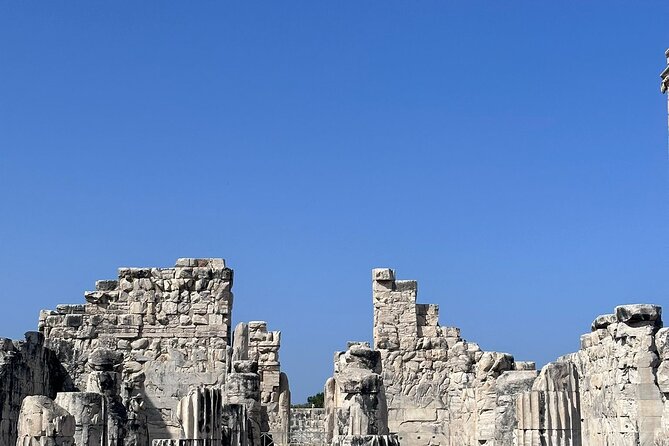 5 Hours Priene-Miletos-Didyma Customisable Private Tour - Customizing Your Private Tour Experience