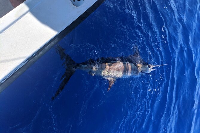 5 Hours Private Fishing Charter in Kailua-Kona - Additional Information
